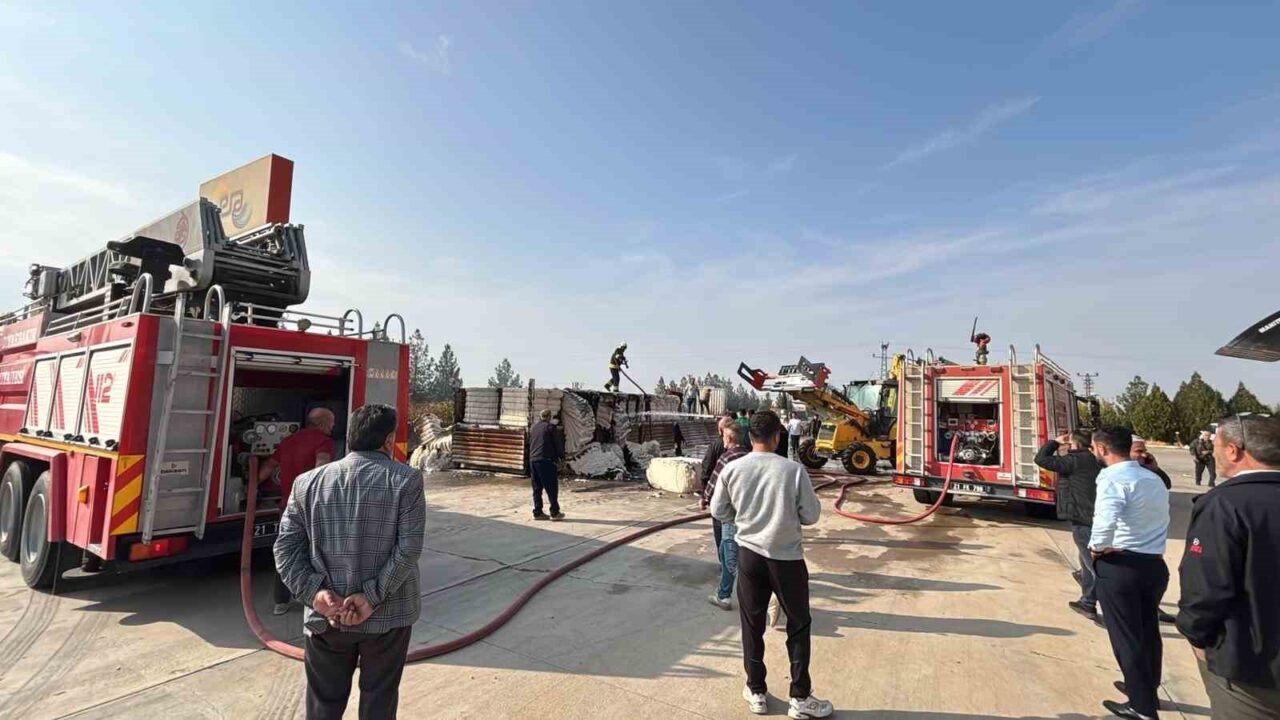 Diyarbakır'ın Çınar ilçesindeki bir akaryakıt istasyonunda park halindeki tırda çıkan