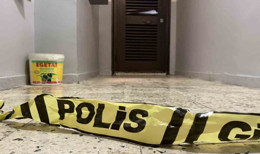 Diyarbakır'ın Bağlar ilçesinde E.T. (26), annesi İlkmur (52) ve ağabeyi