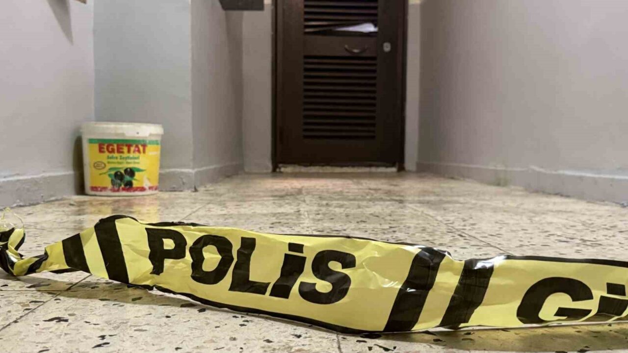 Diyarbakır'ın Bağlar ilçesinde E.T. (26), annesi İlkmur (52) ve ağabeyi