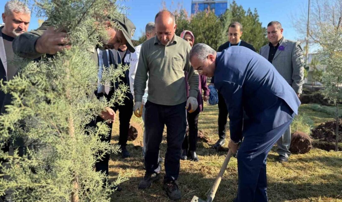 Diyarbakır Hastanesi, 17 Kasım Dünya Prematüre Günü’nde Duygu Dolu Etkinliğe Ev Sahipliği Yaptı Diyarbakır Gazi Yaşargil Eğitim ve Araştırma Hastanesi, 17 Kasım Dünya