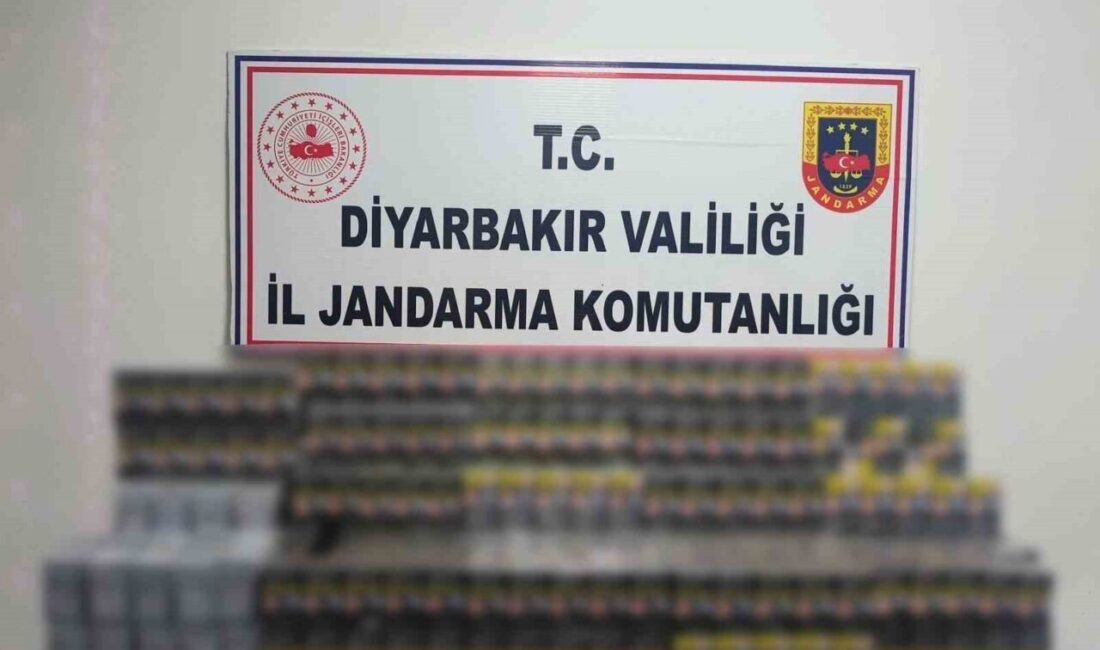 Diyarbakır'da jandarma, kaçakçılık operasyonları düzenleyerek 10.040 dolu makaron ve 3.645