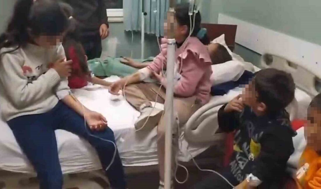 Diyarbakır'ın Hani ilçesinde, Topçular İlkokul ve Ortaokulu'nda yedikleri köfte, tatlı