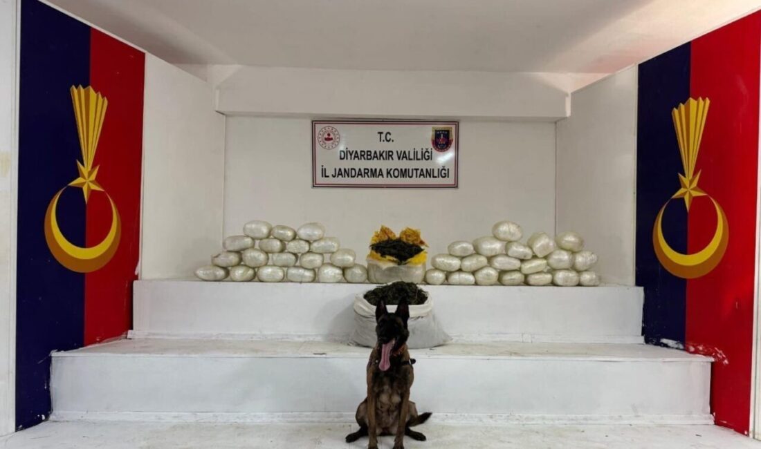 Diyarbakır'da jandarma, uyuşturucu ile mücadele kapsamında 40 şüpheli hakkında işlem