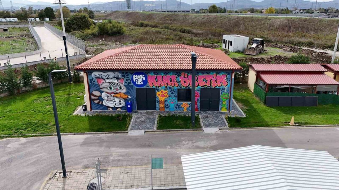 Sakarya Büyükşehir Belediyesi, sokak hayvanlarının beslenme ihtiyaçlarını karşılamak amacıyla Mama