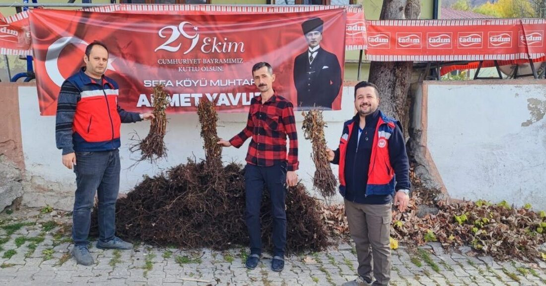 Kütahya'nın Domaniç ilçesinde, İyi Tarım Uygulamaları çerçevesinde yapılan proje ile