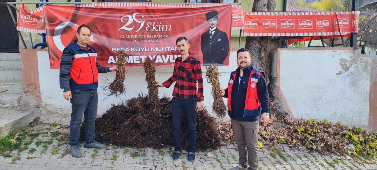 Domaniç’te İyi Tarım Projesi Kapsamında Üç Çiftçiye 3 Bin Ahududu Fidanı Destekli Olarak Dağıtıldı