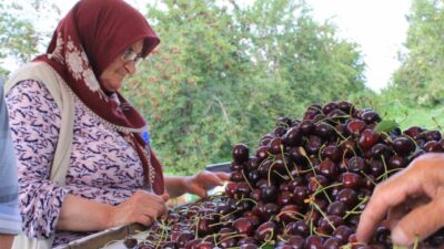Türkiye, dondurulmuş gıda ihracatında büyük bir potansiyele sahip. Dondurulmuş Gıda