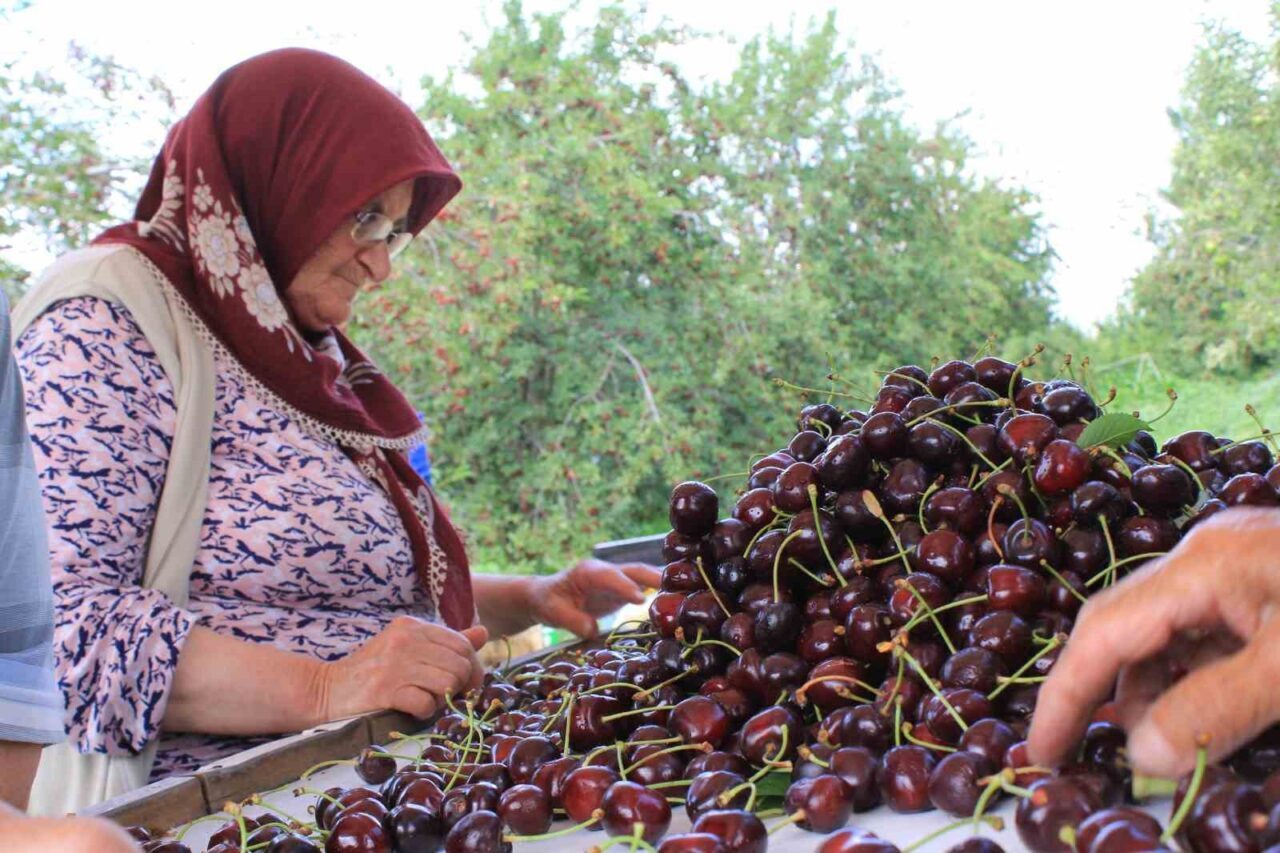 Türkiye, dondurulmuş gıda ihracatında büyük bir potansiyele sahip. Dondurulmuş Gıda