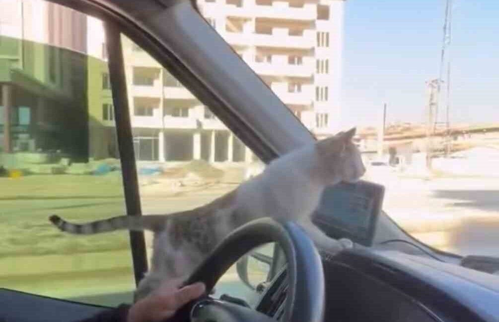 Hakkari’nin Yüksekova ilçesinde toplu taşıma şoförü Sabur Dündar, dondurucu soğukta