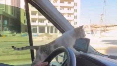 Hakkari’nin Yüksekova ilçesinde toplu taşıma şoförü Sabur Dündar, dondurucu soğukta