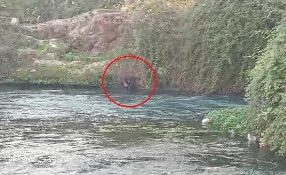 Antalya'nın Kepez ilçesinde, Dün Düden Çayı'na düşen Yusuf A., akıntıda