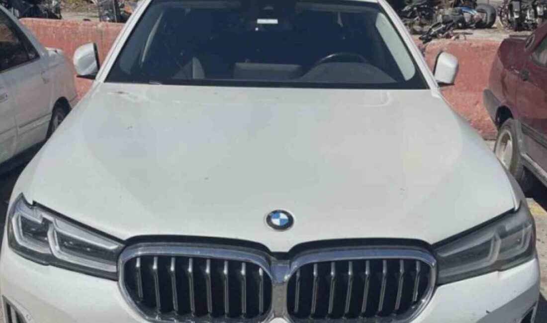 Yeni evli çift Ahmet Balcı ve eşi, 1 milyon 648