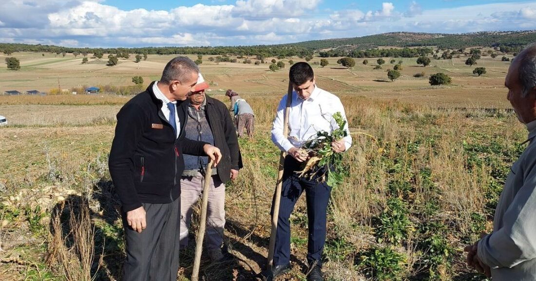 Dumlupınar Kaymakamı Alperen Teltik, Eyidemir Köyü'nde şeker pancarı hasadı alanlarında