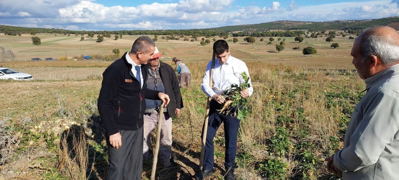 Dumlupınar Kaymakamı Alperen Teltik, Eyidemir Köyü’nde Şeker Pancarı Hasadını İnceledi