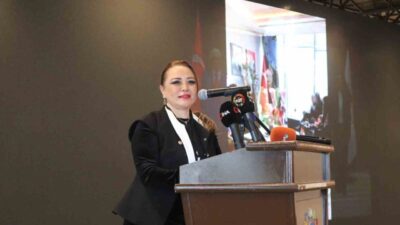 Sağlık Turizmi Konfederasyonu (SATKOF) tarafından, Aysun Bay önderliğinde düzenlenen uluslararası