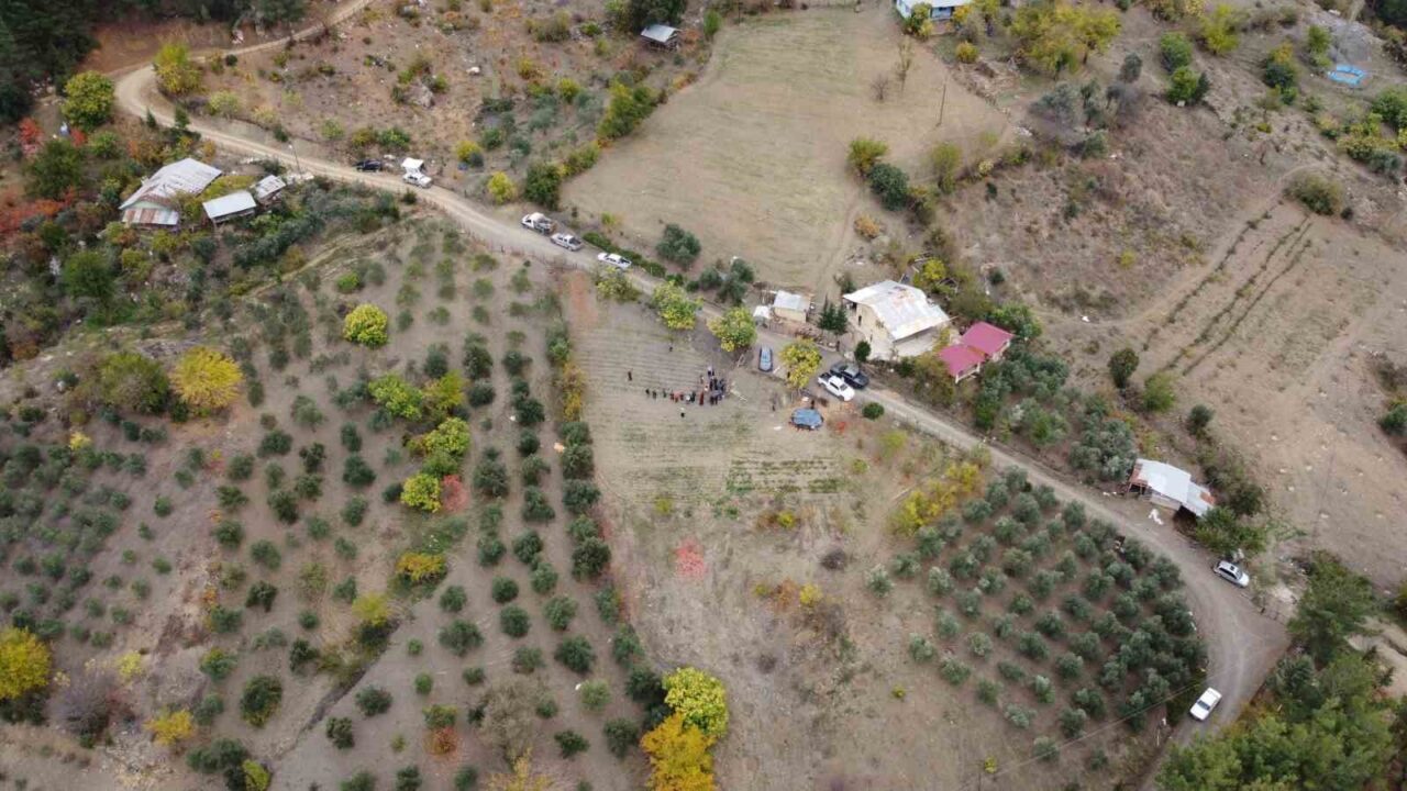 Kozan’da Safran Hasadı Başladı, İklim Koşulları Rekoltede Düşüşe Neden Oldu