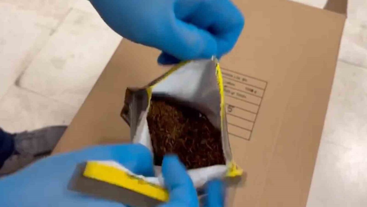 Eskişehir'de yapılan operasyonda, piyasa değeri 7.5 milyon TL olan 6