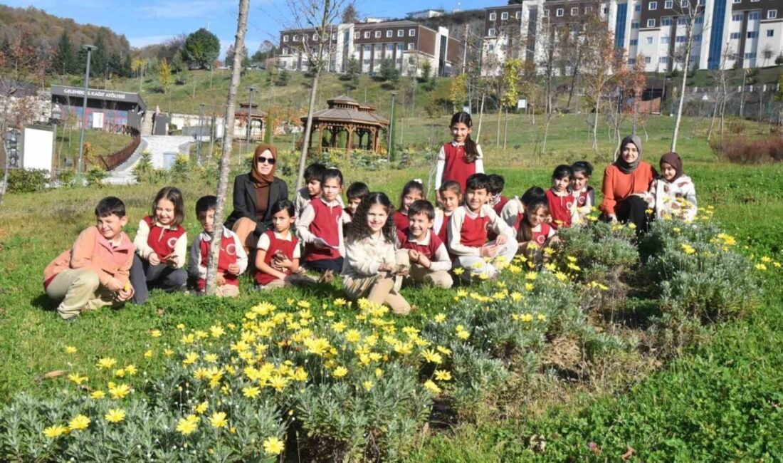 Düzce Üniversitesi Süs ve Tıbbi Bitkiler Botanik Bahçesi, Şıralık Vatan
