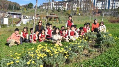 Düzce Üniversitesi Süs ve Tıbbi Bitkiler Botanik Bahçesi, Şıralık Vatan