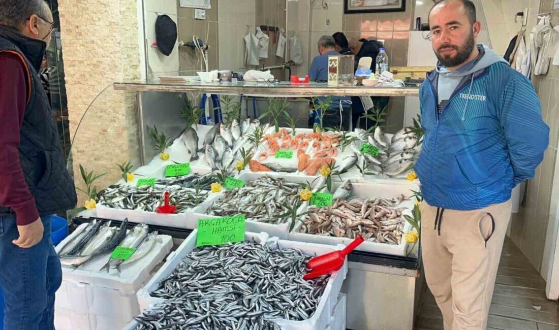 Düzce'de balık üretiminde bu yıl artış gözlemlenirken, palamutun Karadeniz'den çıkmaması