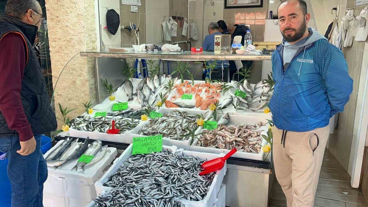 Düzce’de Balık Fiyatlarında Düşüş, Hamsi Alımında Artış Görülüyor Düzce'de balık üretiminde bu yıl artış gözlemlenirken, palamutun Karadeniz'den çıkmaması