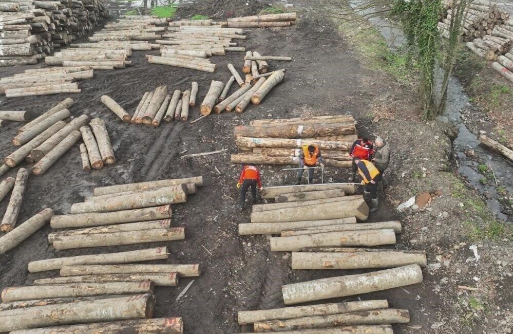 Düzce Orman Ürünleri İhracatı, Geçen Yılı Geride Bıraktı: İlk 10 Ayda 13 Bin 639 Ton Gönderildi Düzce, orman ürünleri ihracatında 2023'te 13 bin 639,95 ton ile