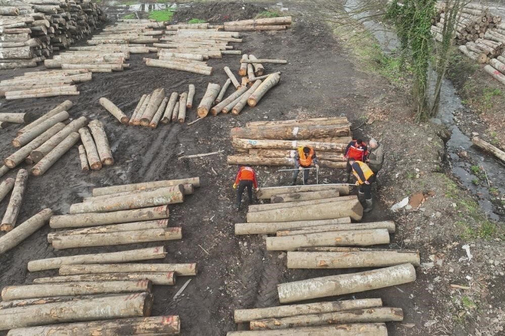 Düzce, orman ürünleri ihracatında 2023'te 13 bin 639,95 ton ile