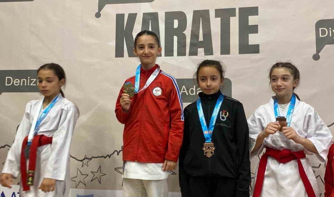 Düzceli karateciler, 22-23 Kasım tarihlerinde Darıca'da düzenlenen Türkiye Yıldızlar Ligi