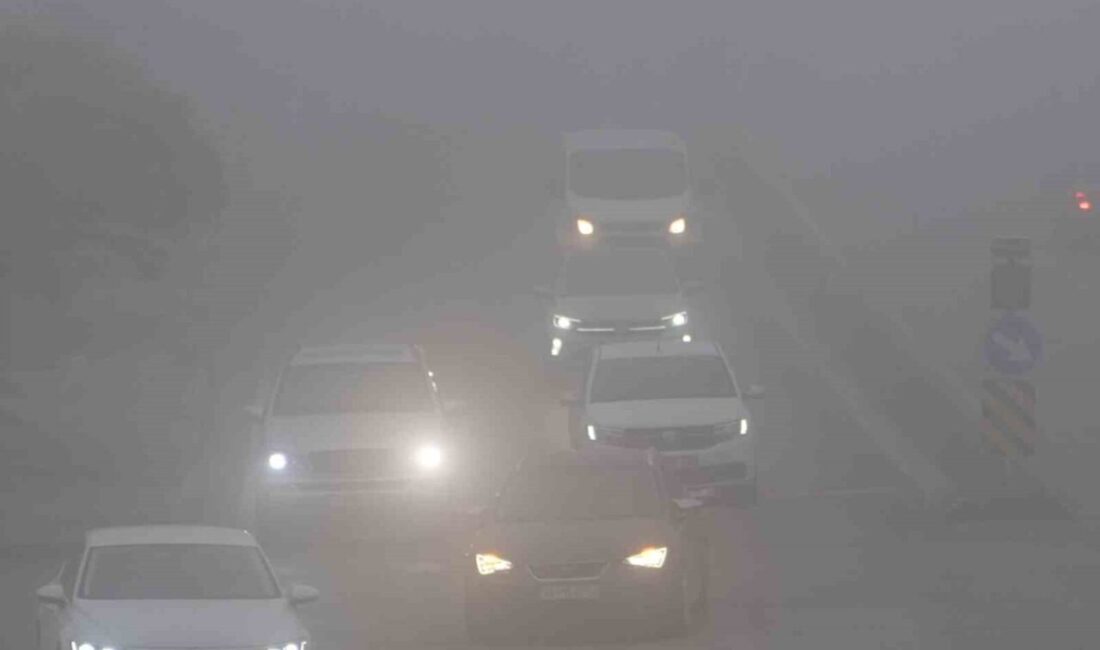 Edirne’de sabah saatlerinde yoğun sis nedeniyle görüş mesafesi 50 metreye kadar düştü Edirne'de sabah saatlerinde yoğun sis nedeniyle görüş mesafesi 50 metreye