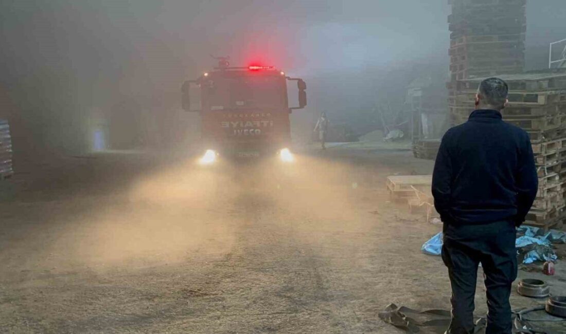 Edirne’deki Palet Fabrikasında Çıkan Yangın İtfaiye Müdahalesiyle Kontrol Altına Alındı Edirne'de Y.G’ye ait palet fabrikasında çıkan yangın, itfaiye ekiplerinin hızlı