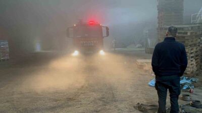 Edirne'de Y.G’ye ait palet fabrikasında çıkan yangın, itfaiye ekiplerinin hızlı