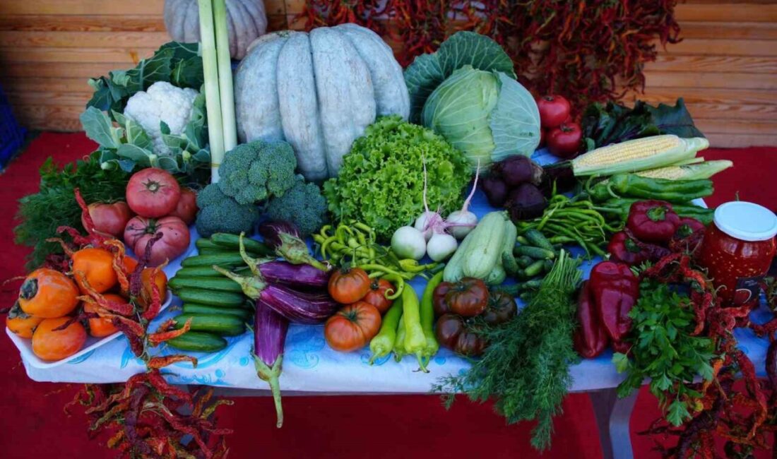 Edirne Valiliği, Karaağaç Mahallesi'nde ata tohumundan organik ürünlerin satışını desteklemek