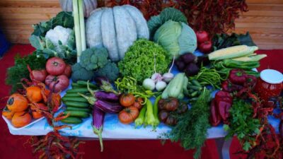 Edirne Valiliği, Karaağaç Mahallesi'nde ata tohumundan organik ürünlerin satışını desteklemek