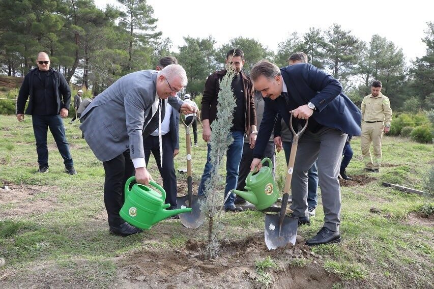Balıkesir’in Edremit ilçesinde, olumsuz hava koşulları nedeniyle ertelenen fidan dikim