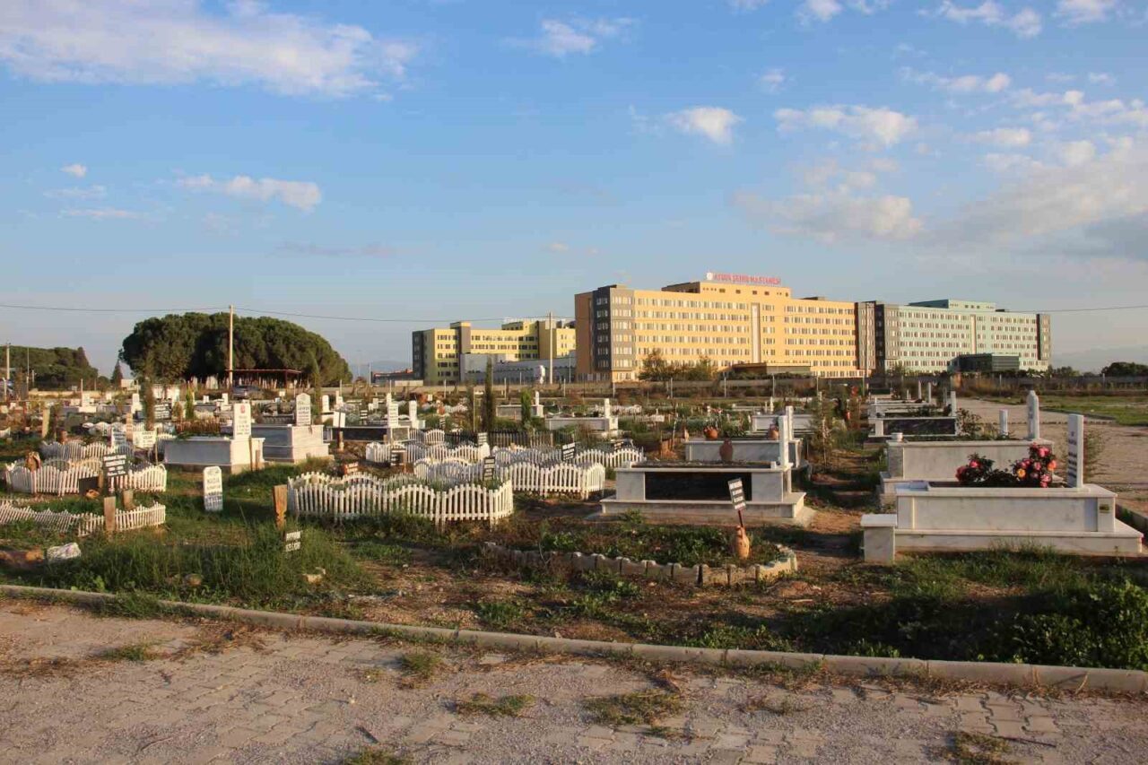 Aydın'daki Kuyulu Mahallesi'ndeki mezarlık alanının tarım arazisi haline geri dönüşmesi