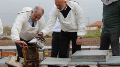 Elazığ'da üretilen Coğrafi İşaretli Geven Balı, yerel arıcıların özverisi ve