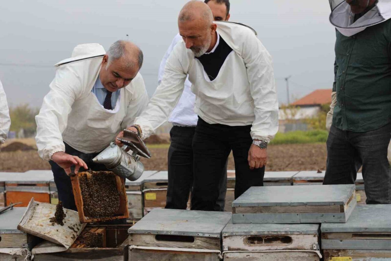 Elazığ'da üretilen Coğrafi İşaretli Geven Balı, yerel arıcıların özverisi ve