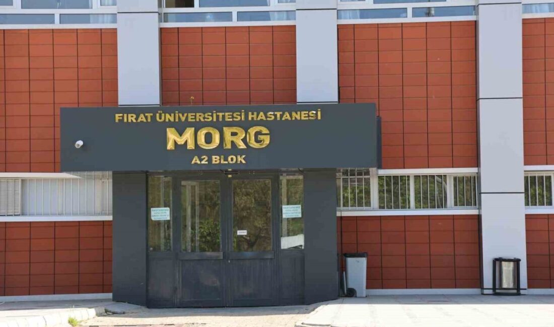 Elazığ'da bir inşaatta bekçilik yapan 66 yaşındaki Hamza Kılıç, 3'üncü