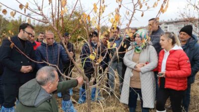 Elazığ'da İl Tarım ve Orman Müdürlüğü, Fırat Kalkınma Ajansı'nın desteğiyle