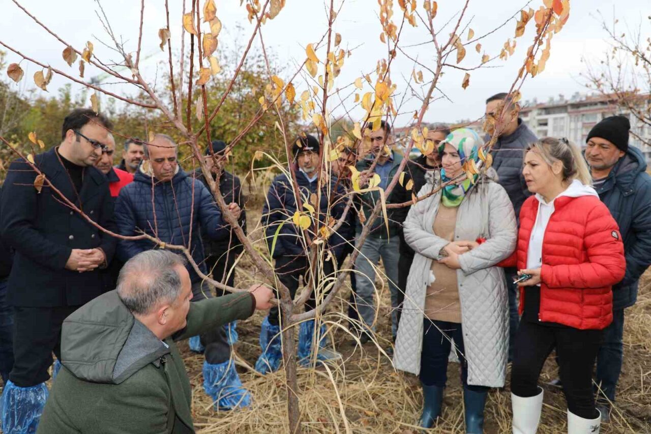 Elazığ’da Tarım Personeline Ağaç Budama ve Aşılama Eğitimi Verildi