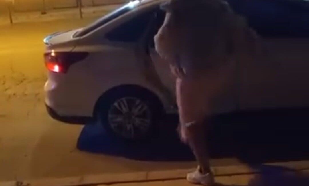 Elazığ'da bir kadın, tartıştığı kişinin arabanın aynasını kırdıktan sonra kapı