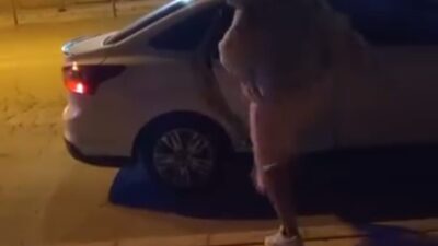 Elazığ'da bir kadın, tartıştığı kişinin arabanın aynasını kırdıktan sonra kapı