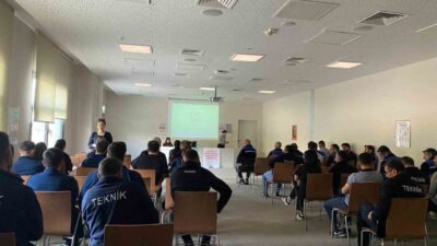 Elazığ Aile ve Sosyal Hizmetler İl Müdürlüğü, kadına yönelik şiddetle