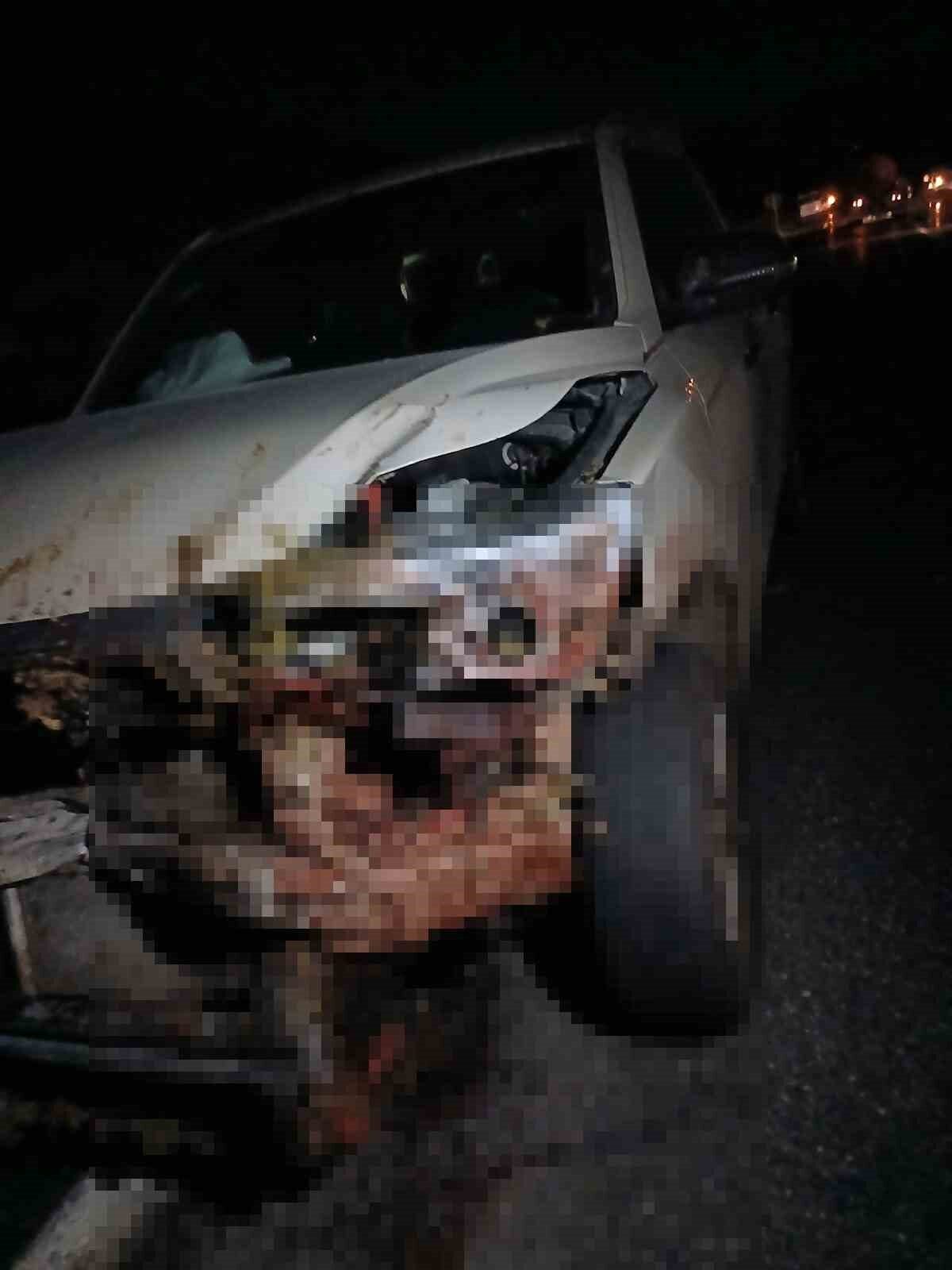 Elazığ’ın Karakoçan ilçesinde M.B. yönetimindeki kamyonet, yoldan geçen bir sürüye