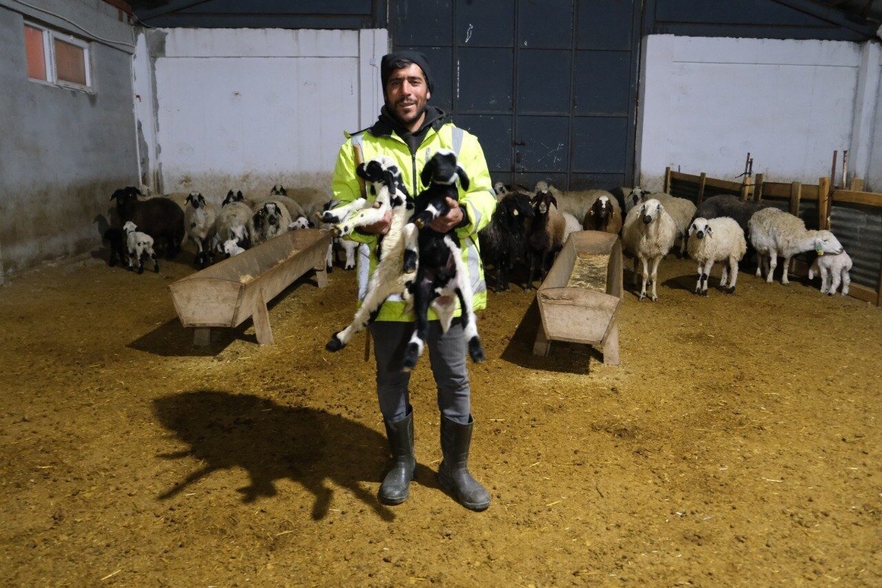 Tercan’da Üretici Adem Şimşek’ten Yeni Çiftlik Yatırımı: “Gerçek Destekler Hayvancılığı Sürekliliğe Taşıyacak”