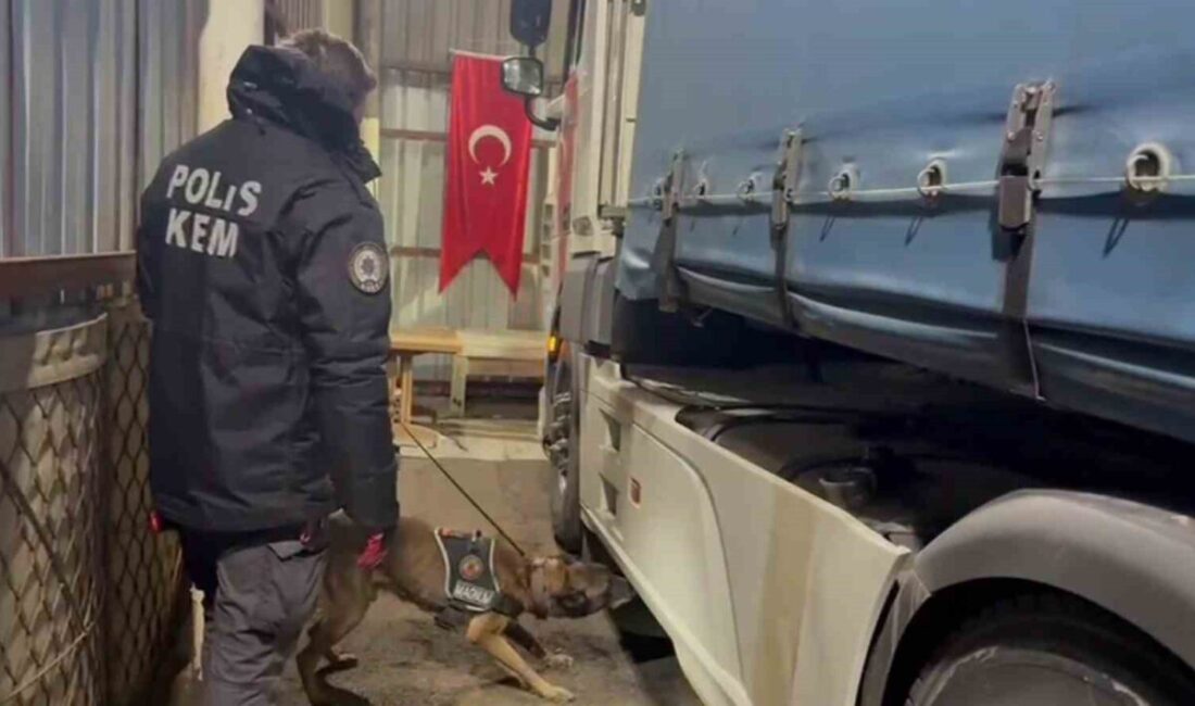 Erzurum'da düzenlenen operasyonda, piyasa değeri 336 milyon TL olan 224