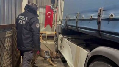 Erzurum'da düzenlenen operasyonda, piyasa değeri 336 milyon TL olan 224