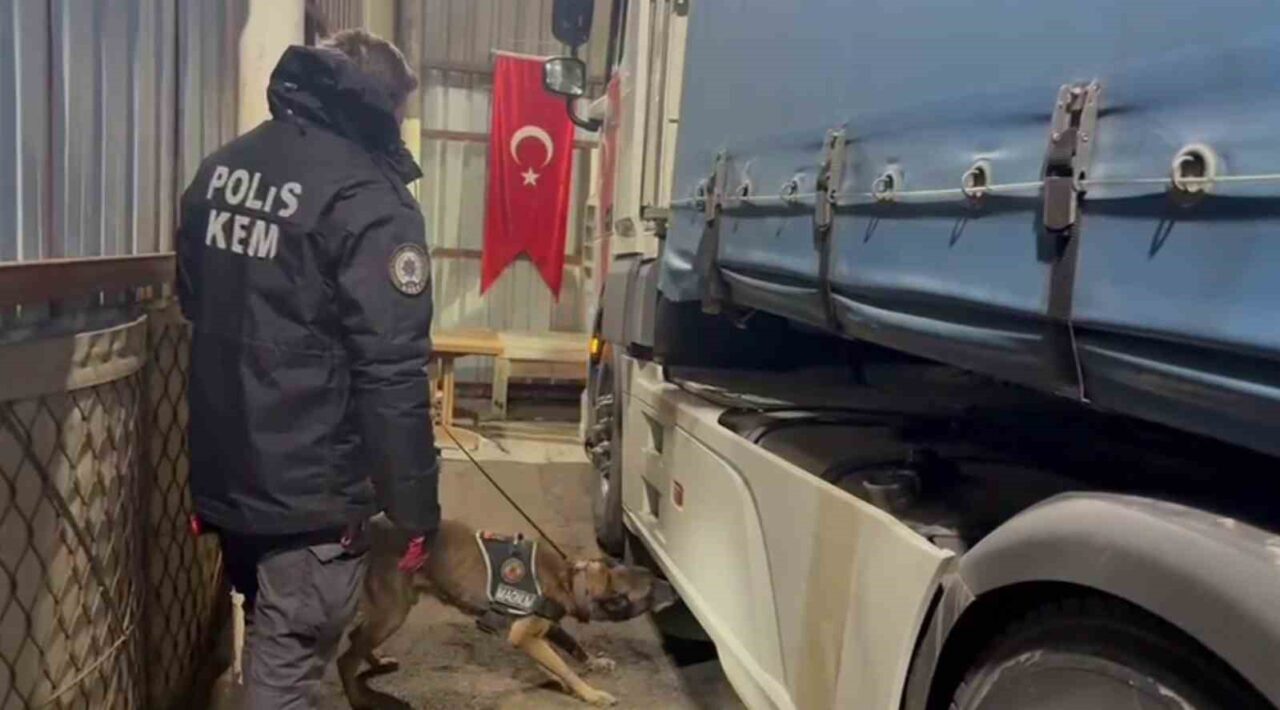 Erzurum'da düzenlenen operasyonda, piyasa değeri 336 milyon TL olan 224