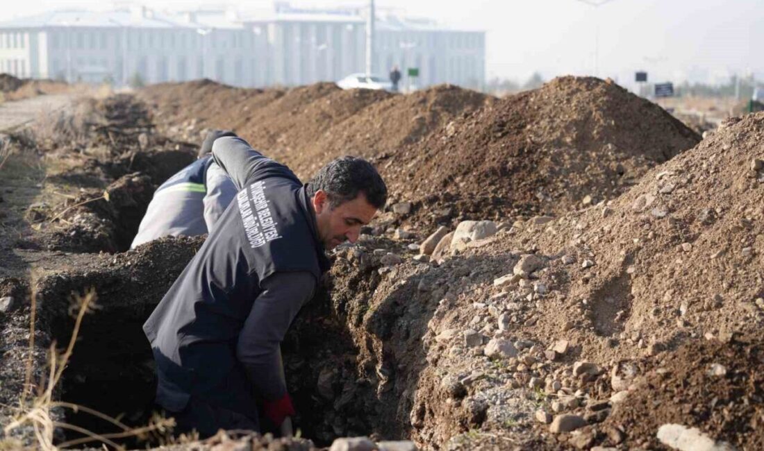Erzurum’da Kışın Mezarlık Hazırlıkları İçin Yüzlerce Mezar Açıldı Erzurum'da kış ayları için mezar yerleri hazırlandı. Büyükşehir Belediyesi Mezarlıklar