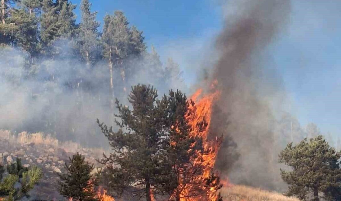 Erzurum Şenkaya’da Üç Noktada Meydana Gelen Orman Yangınlarından İkisi Kontrol Altına Alındı Erzurum'un Şenkaya ilçesindeki Değirmenler Mahallesi Kılıçboğazı mevkiinde çıkan üç orman